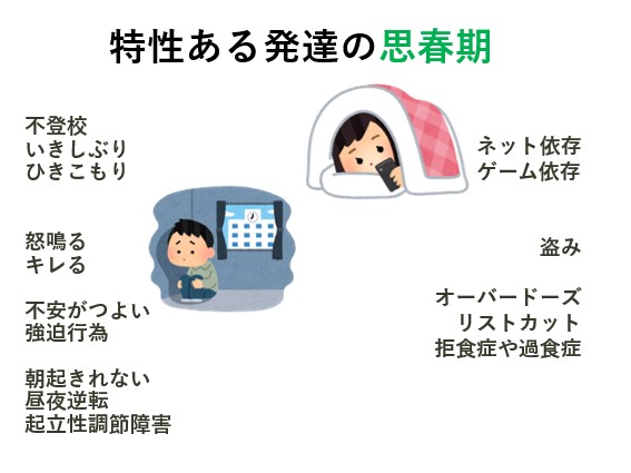 特性ある発達の思春期