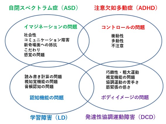 自閉症スペクトラム症　イマジネーションの問題