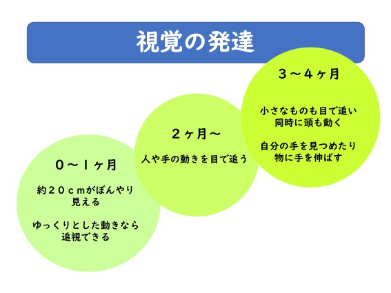 赤ちゃんの視覚の発達