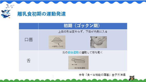 お口の発達と離乳食