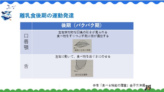 お口の発達と離乳食